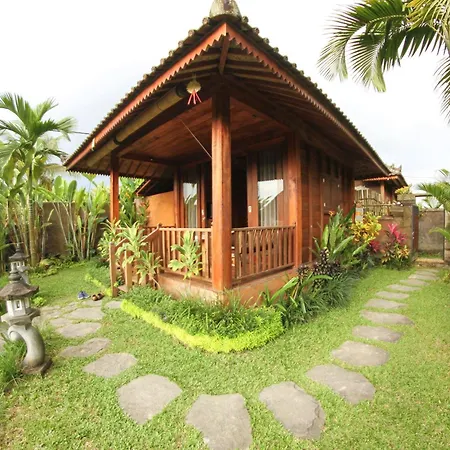Belvilla Moksha Ceking Rice Terracenearubud Jungle Swing
