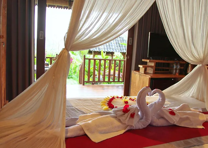 Belvilla Moksha Ceking Rice Terracenearubud Jungle Swing